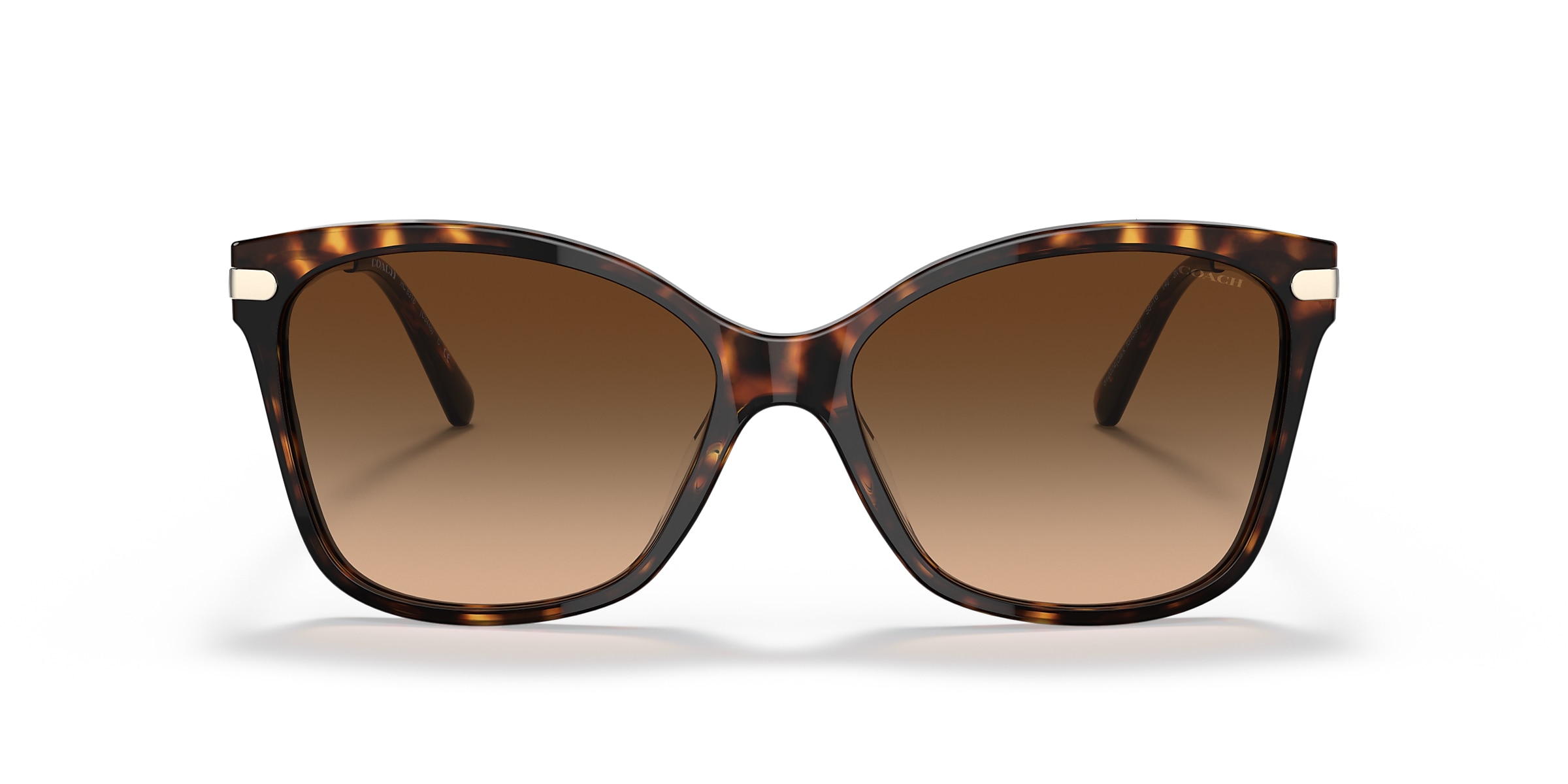 Coach Sunglasses HC8316 C3446