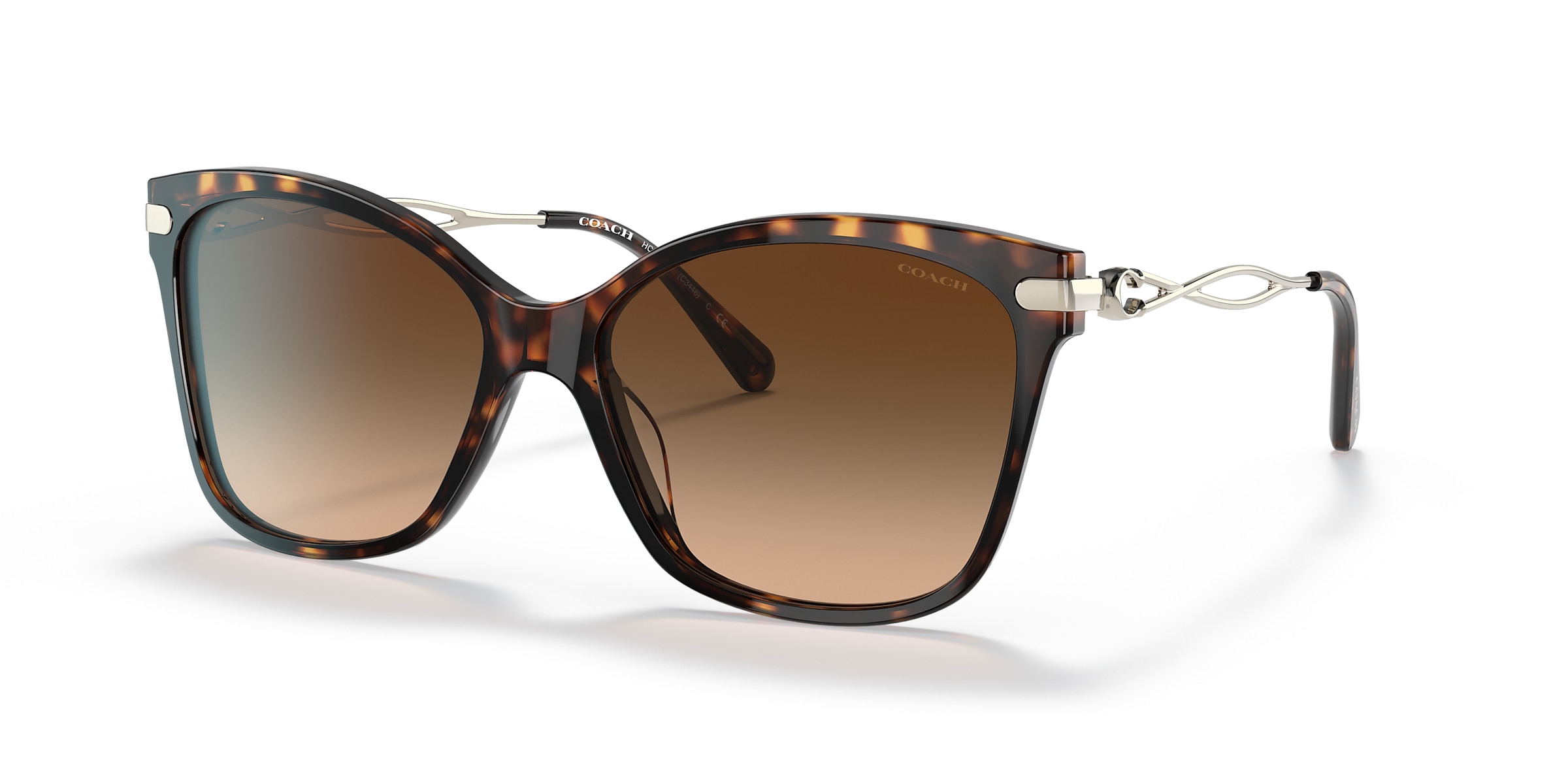 Coach Sunglasses HC8316 C3446