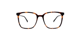 clearly Glasses ridgemark