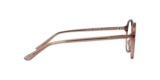 SHORE PINE