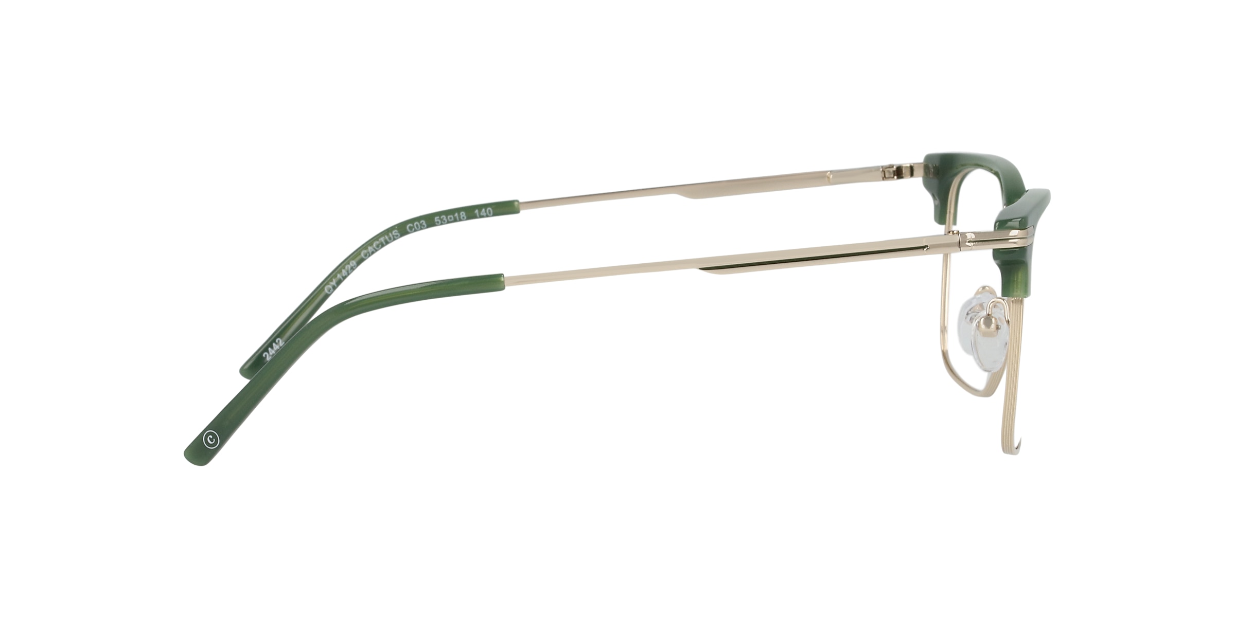 Clearly Glasses CACTUS