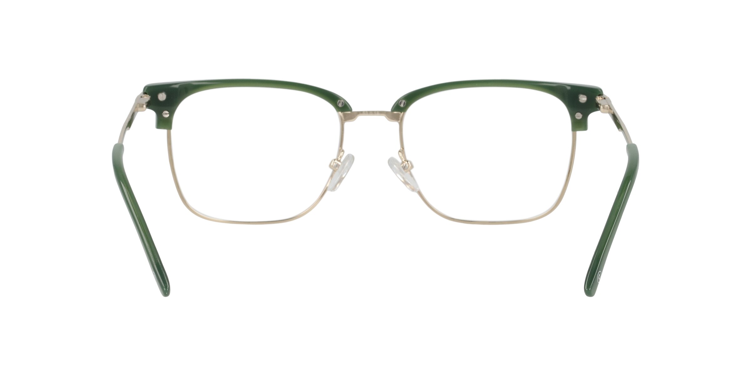 Clearly Glasses CACTUS