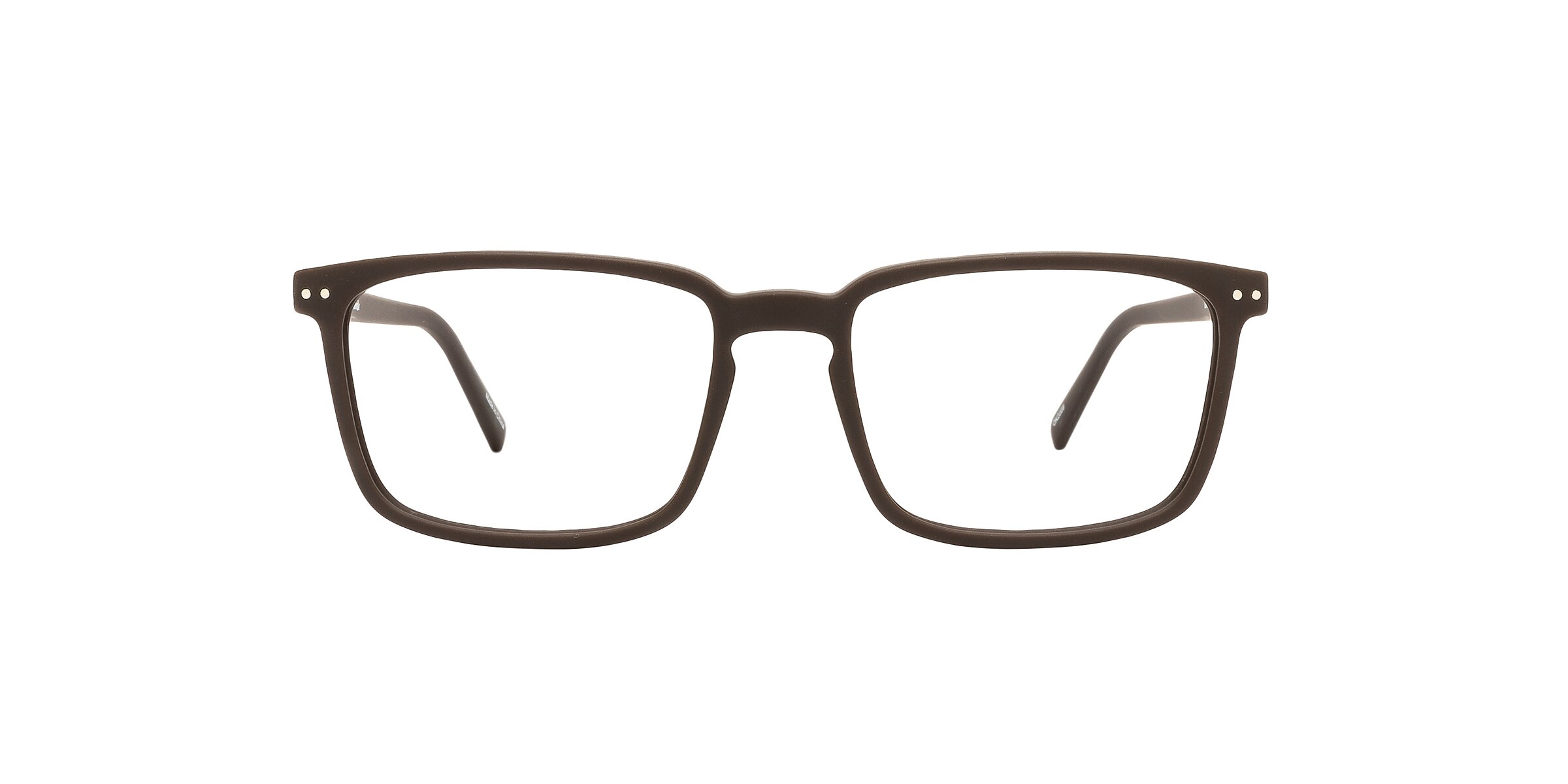 Reincarnate Glasses CURLEW