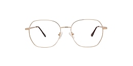 clearly Glasses provost