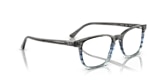 RB5418 OPTICS