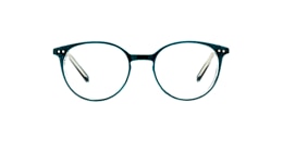 clearly Glasses foal