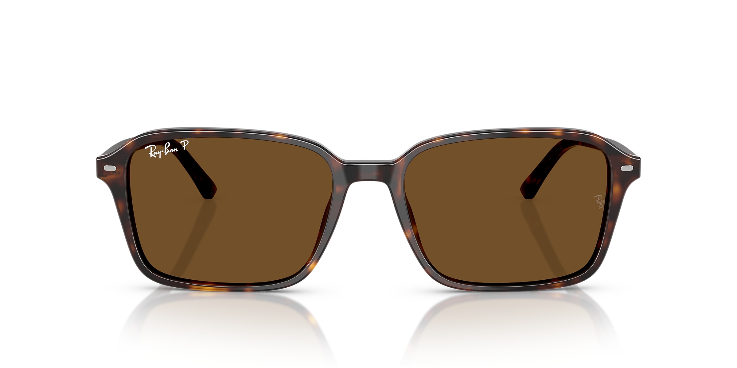 Ray-Ban Sunglasses RB2231 RAIMOND