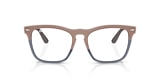RB4487V STEVE OPTICS