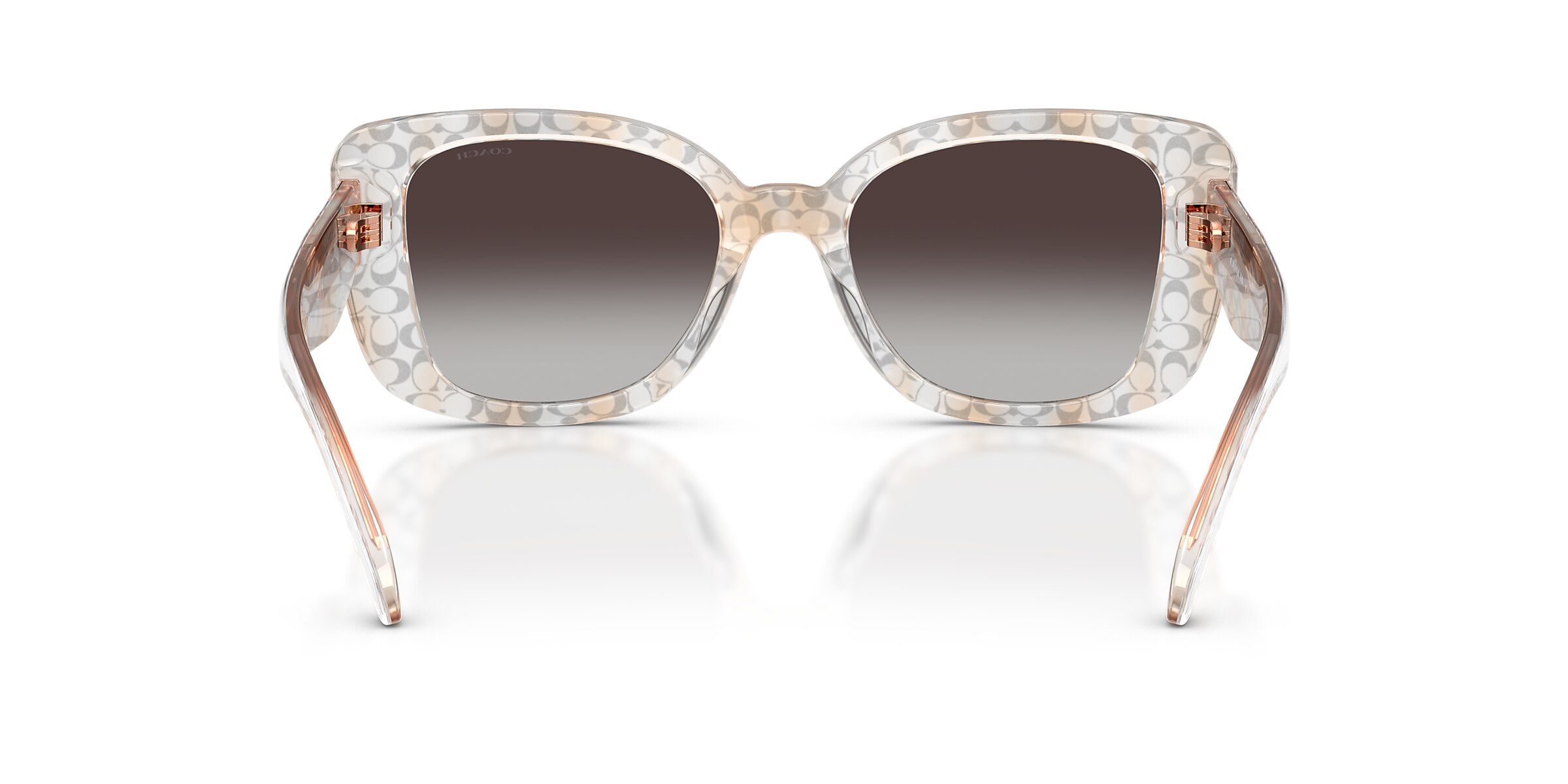 Coach Sunglasses HC8450U CDP48