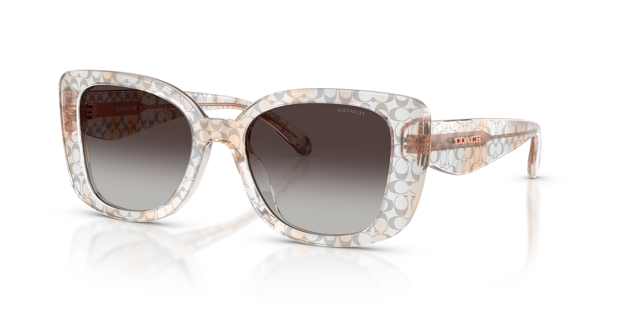 Coach Sunglasses HC8450U CDP48