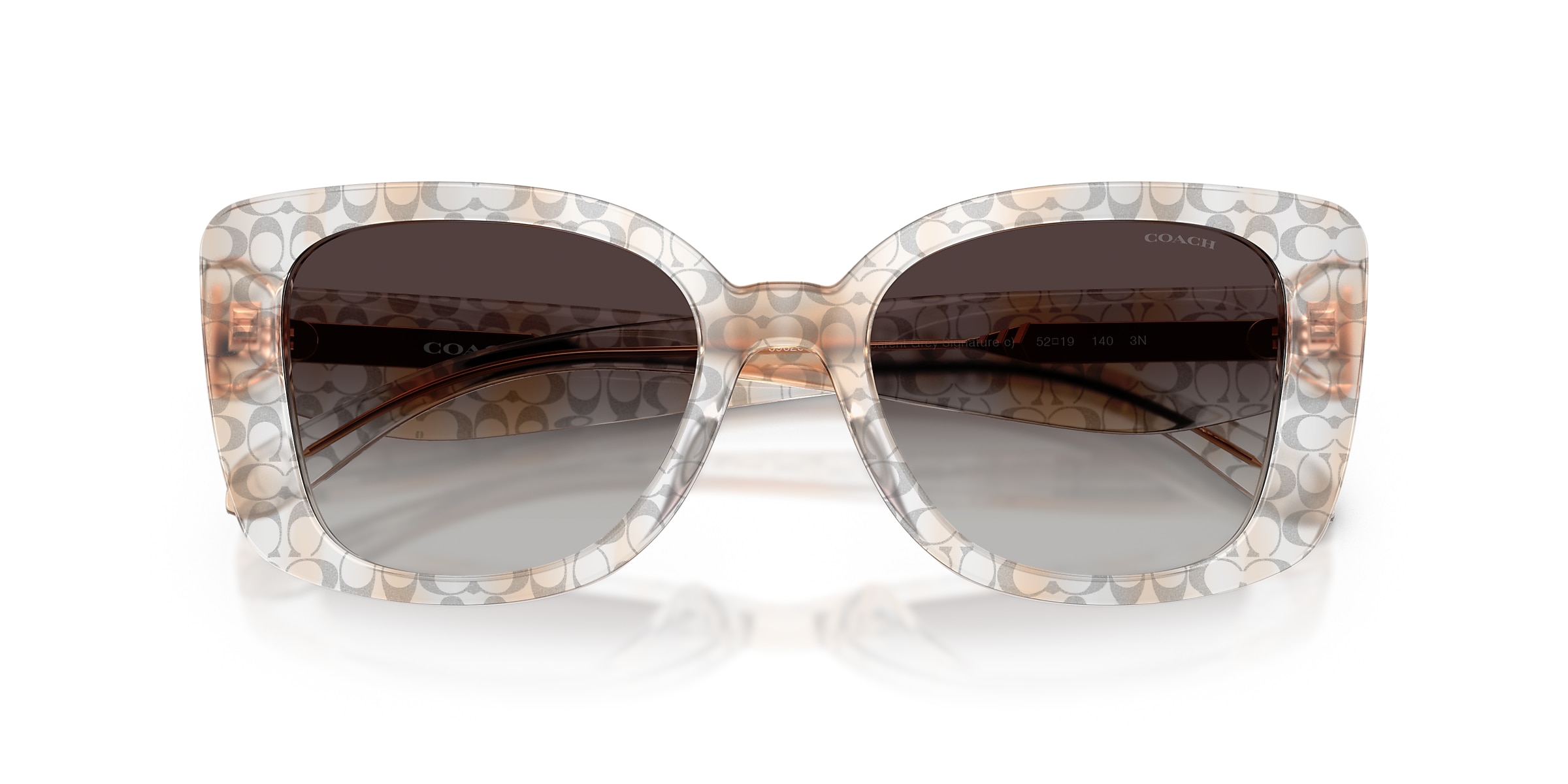 Coach Sunglasses HC8450U CDP48