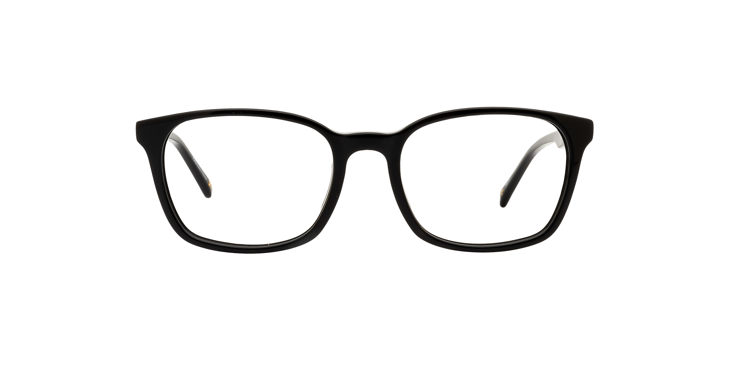 Clearly Glasses TARVOS