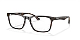 RB5279 OPTICS