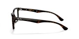 RB5279 OPTICS