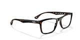 RB5279 OPTICS