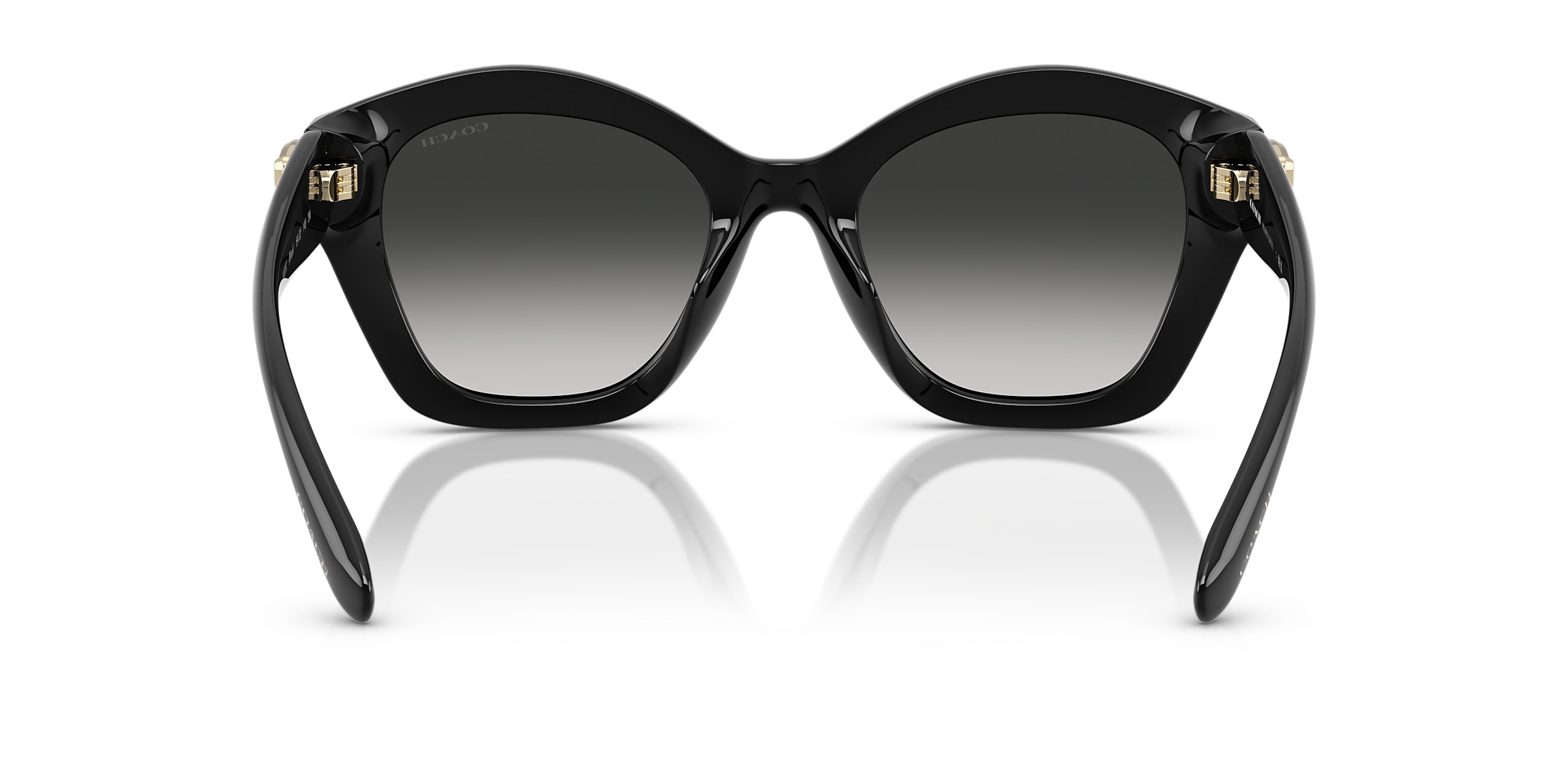 Coach Sunglasses HC8421U CAD31