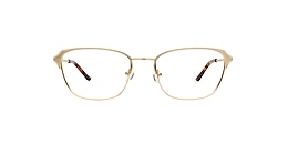 kam dhillon Glasses jane