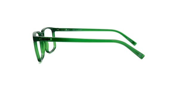 Clearly Glasses CURLEW