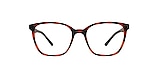 Clearly Glasses GEORGES COVE