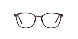 clearly Glasses kensington
