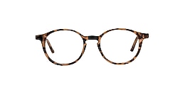 clearly Glasses carlyle