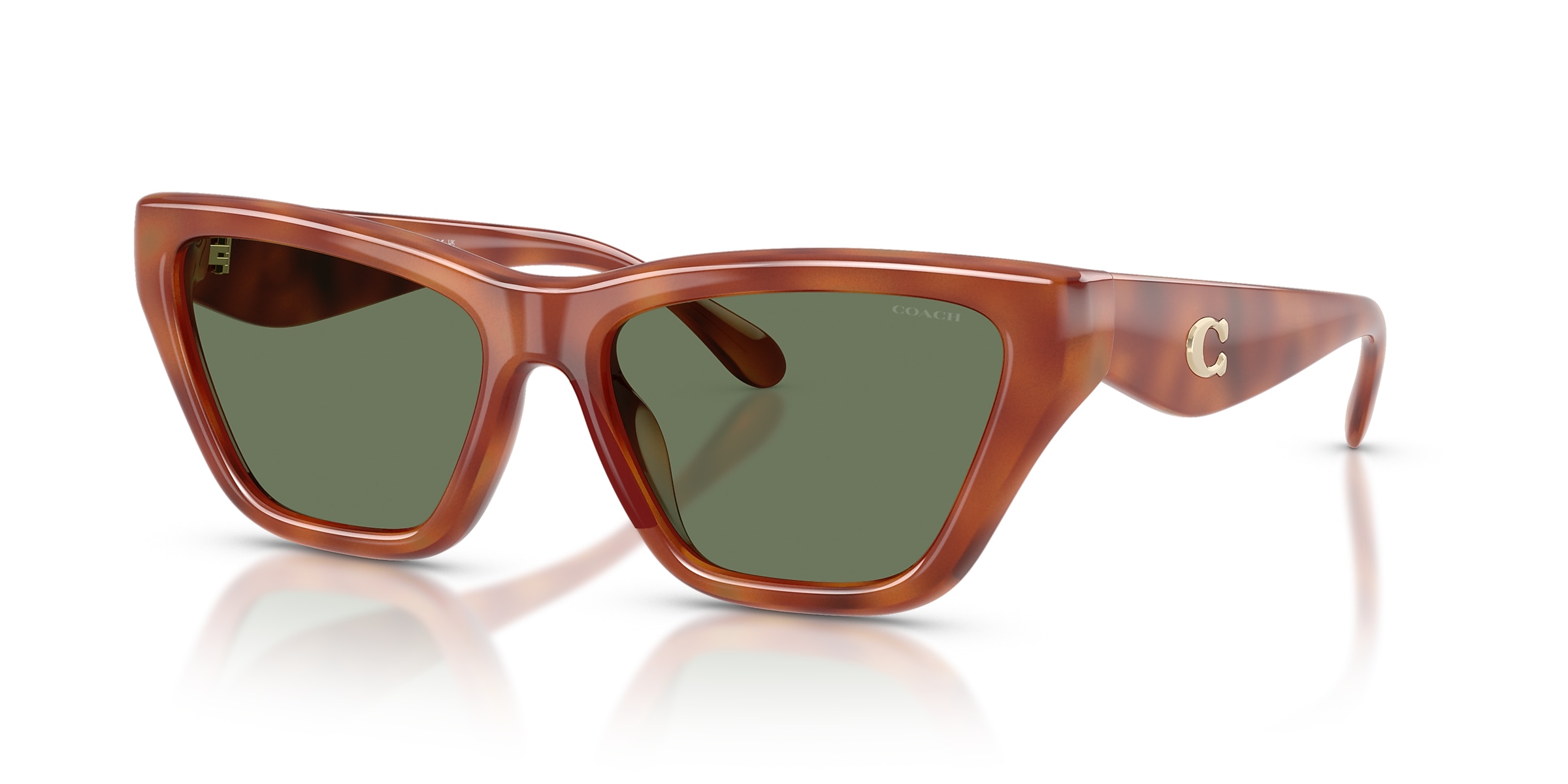 Coach Sunglasses HC8449U CDP33
