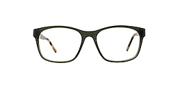 main and central Glasses turtle bay