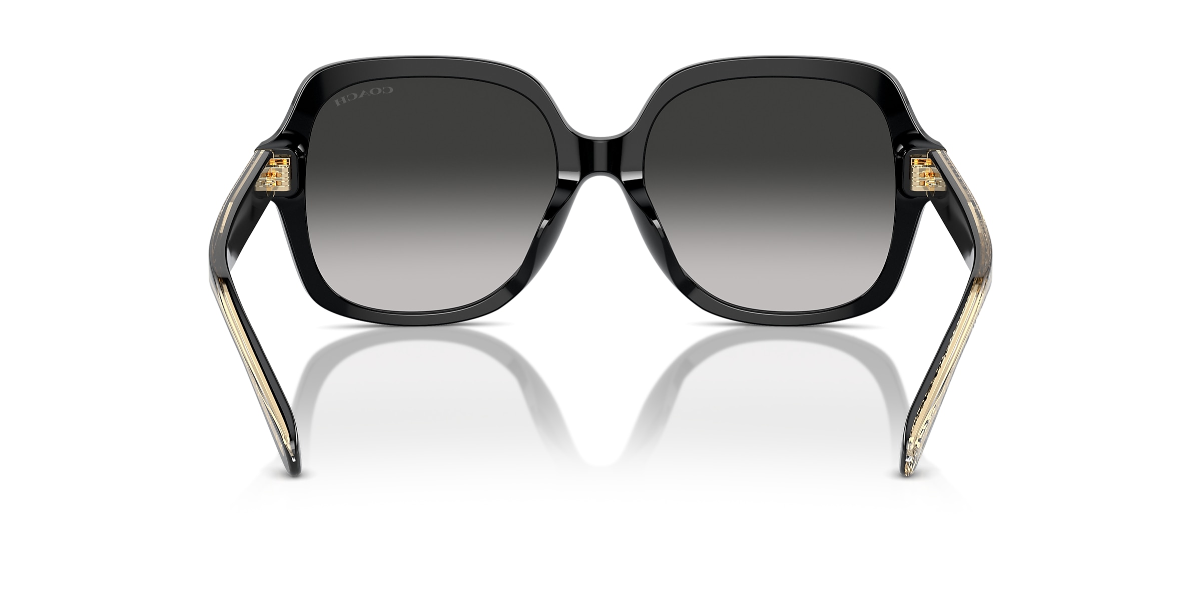 Coach Sunglasses HC8395U CR614