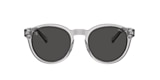 Polo Ralph Lauren Sunglasses PH4192