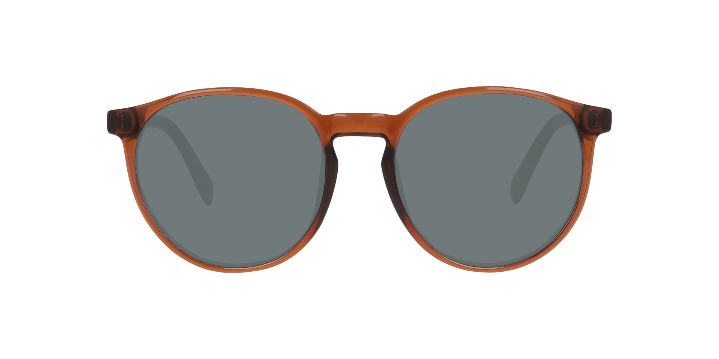 Clearly Sunglasses TELEMAIN