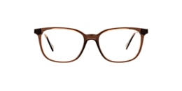 clearly Glasses ardee