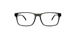 reincarnate Glasses petrel