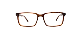 clearly Glasses larch