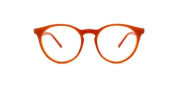 clearly Glasses owl