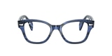 Ray-Ban Glasses RB0880 OPTICS