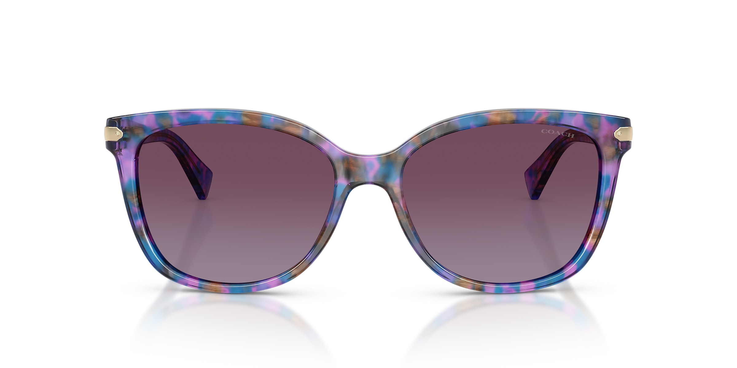 Coach Sunglasses HC8132 L109