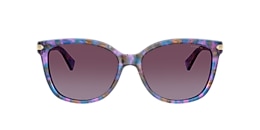 coach Sunglasses hc8132 l109