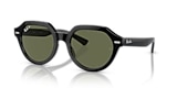 RB4399 GINA