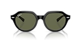 RB4399 GINA