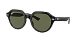 RB4399 GINA