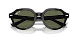 RB4399 GINA