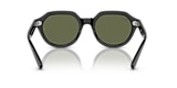 RB4399 GINA