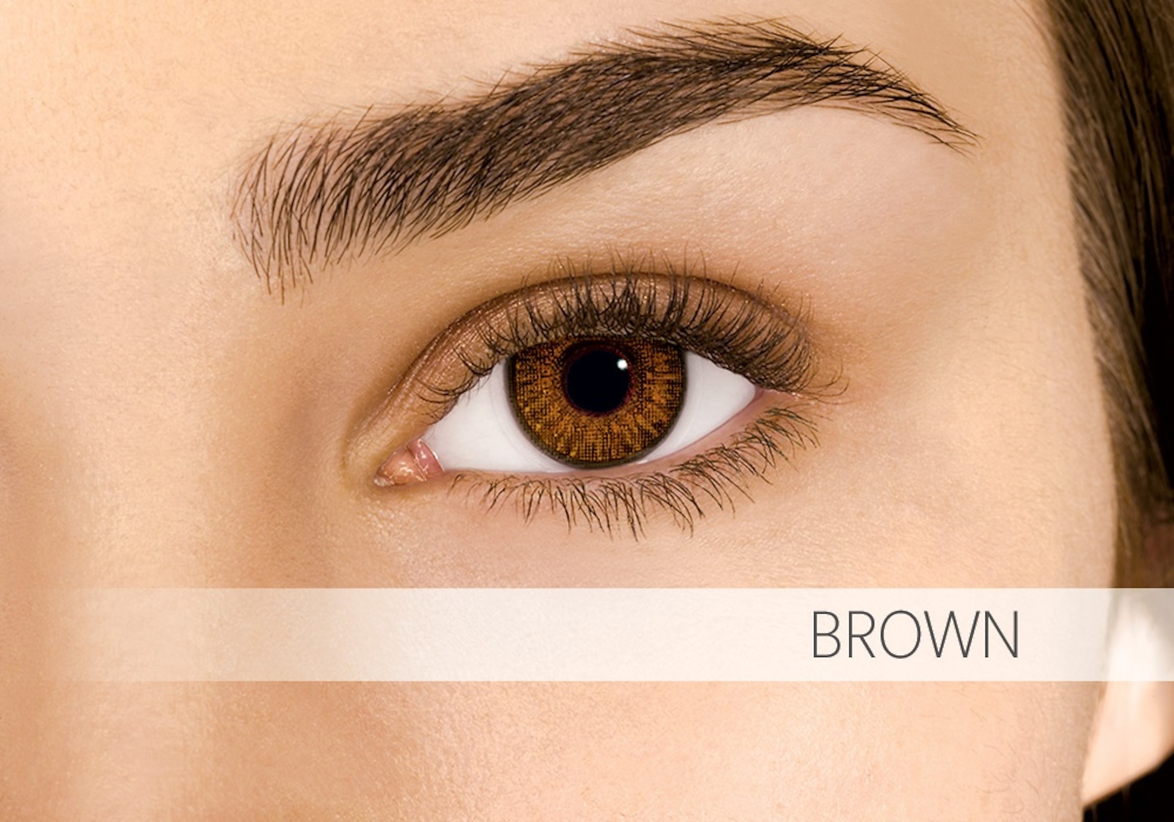 Alcon Contacts AIR OPTIX® COLORS 2