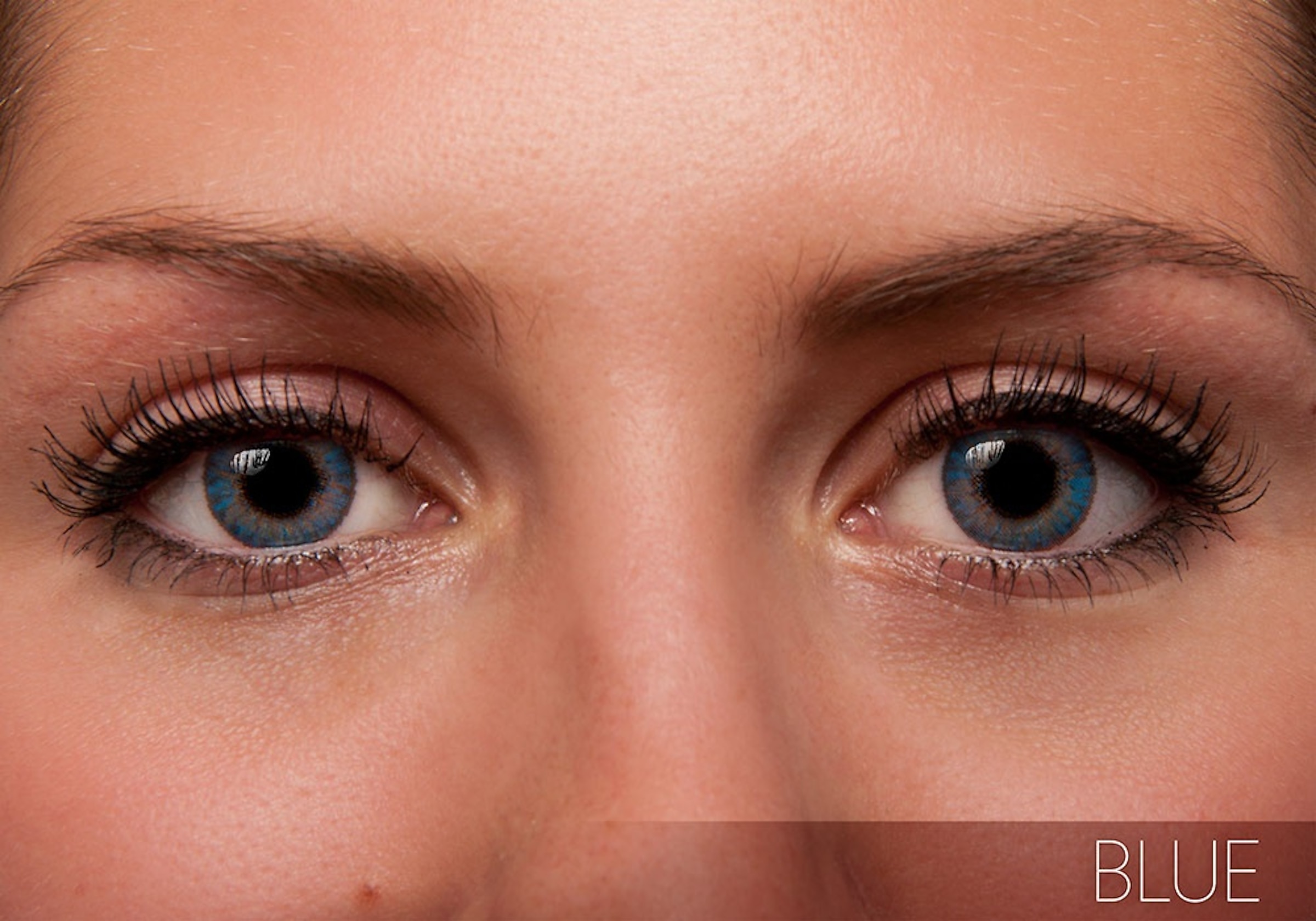 Alcon Contacts FreshLook Colorblends 6