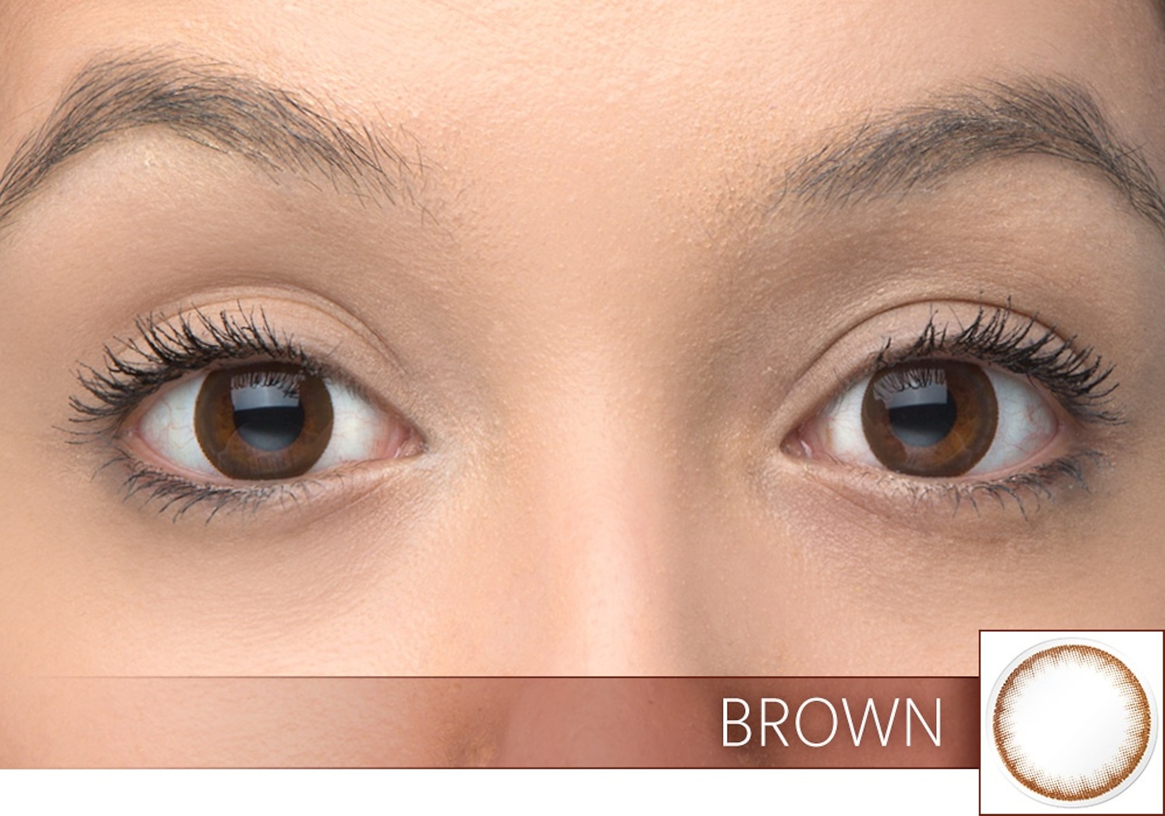 Interojo Contacts Splash Illusion Brown 30