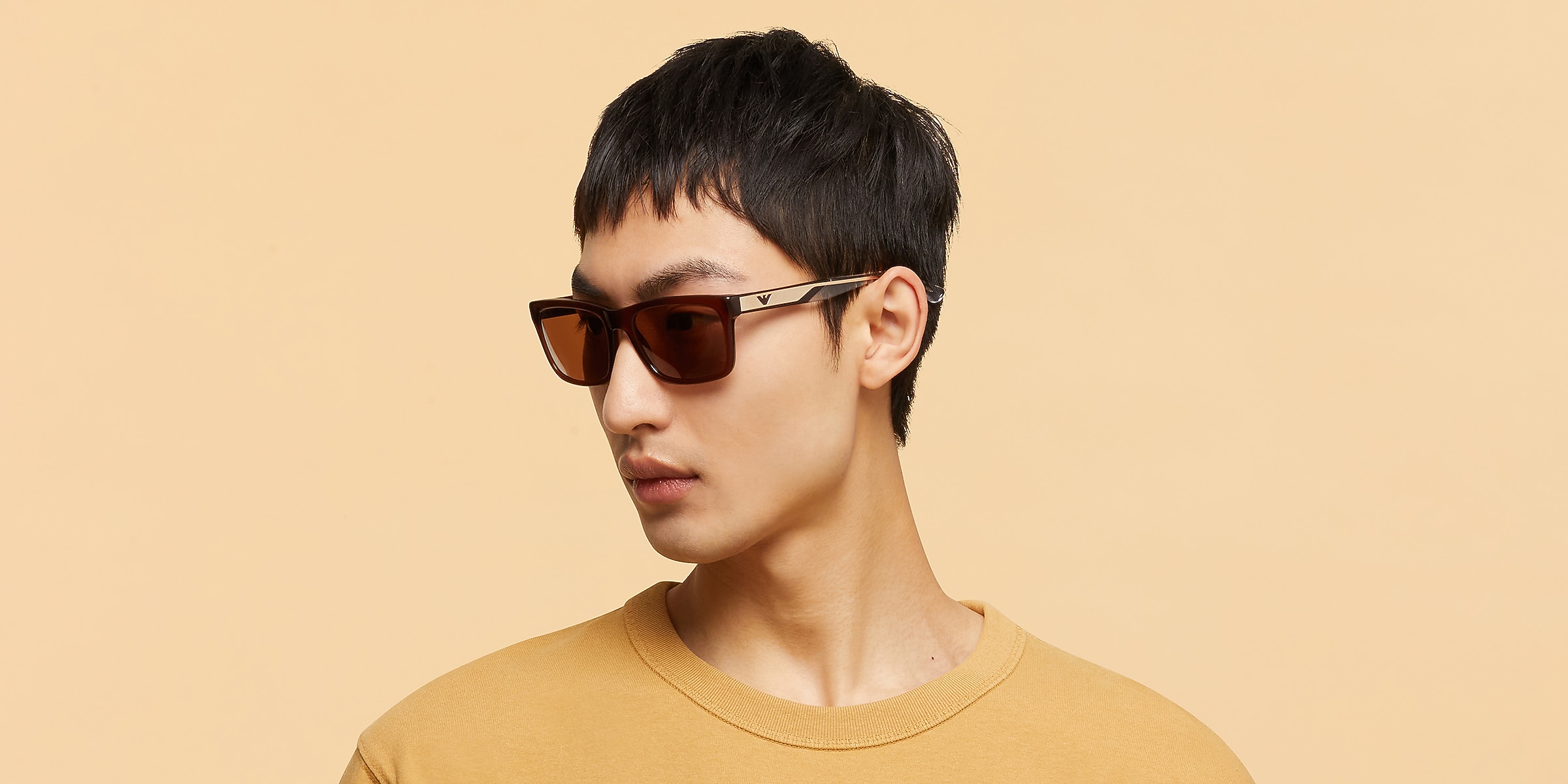 Emporio Armani Sunglasses EA4224