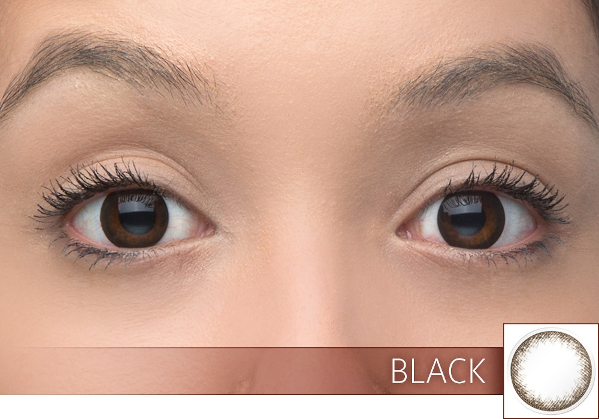 Interojo Contacts Splash® Illusion Black 30