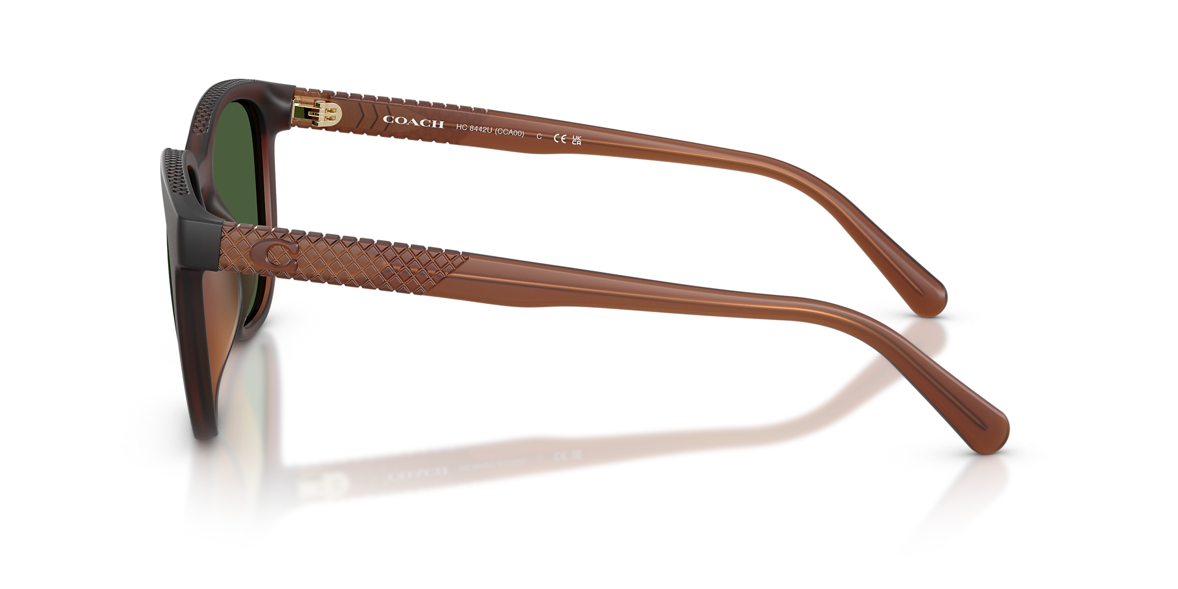 Coach Sunglasses HC8442U CCA00