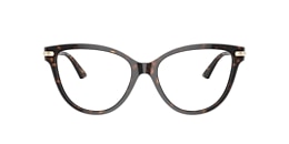 Jimmy Choo Glasses JC3001B