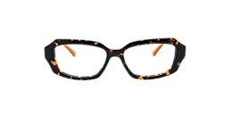 Clearly Glasses PAEONIA